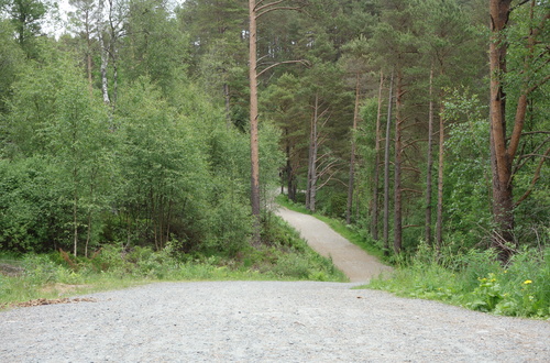 Bergen og Hordaland Turlag